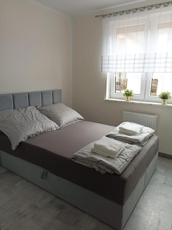 Apartament Brzeg Ngoại thất bức ảnh
